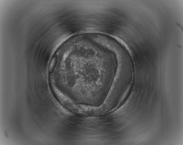 X0000091011333200708301348