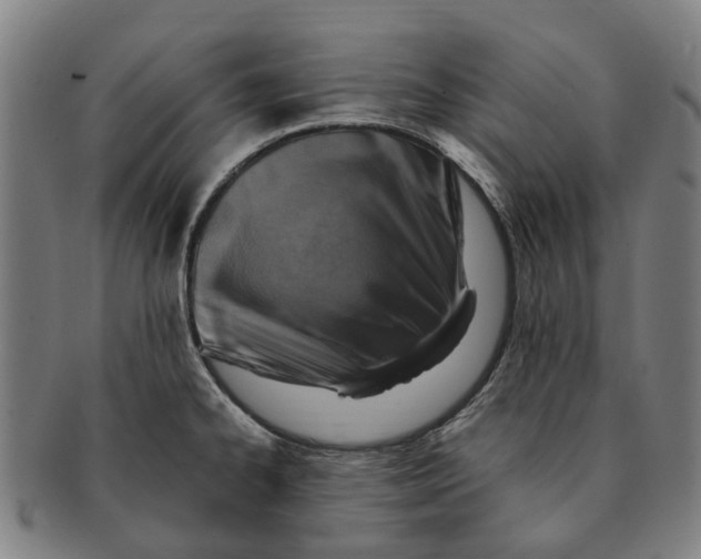 X0000091011334200708301348