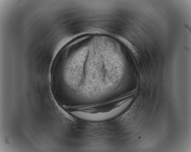 X0000091011335200708301348