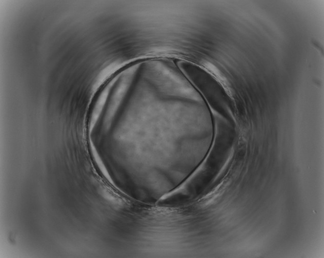 X0000091011336200708301348