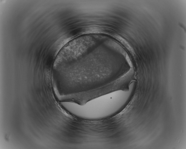 X0000091011337200708301348