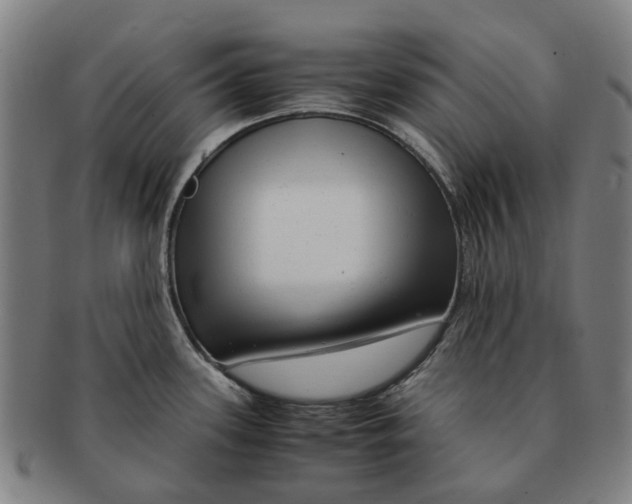 X0000091011339200708301348