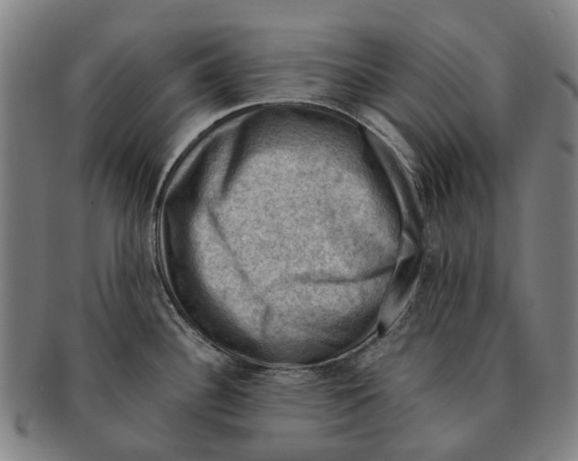 X0000091011340200708301348