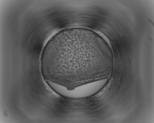 X0000091011341200708301348