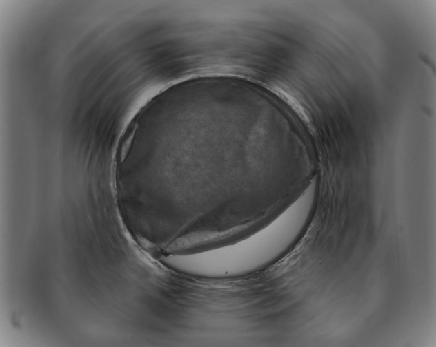 X0000091011342200708301348