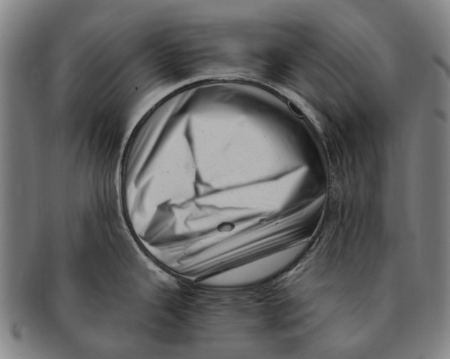 X0000091011343200708301348