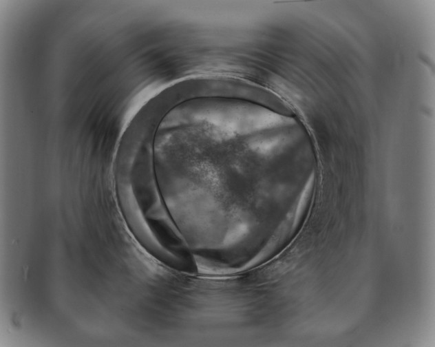 X0000091011344200708301348