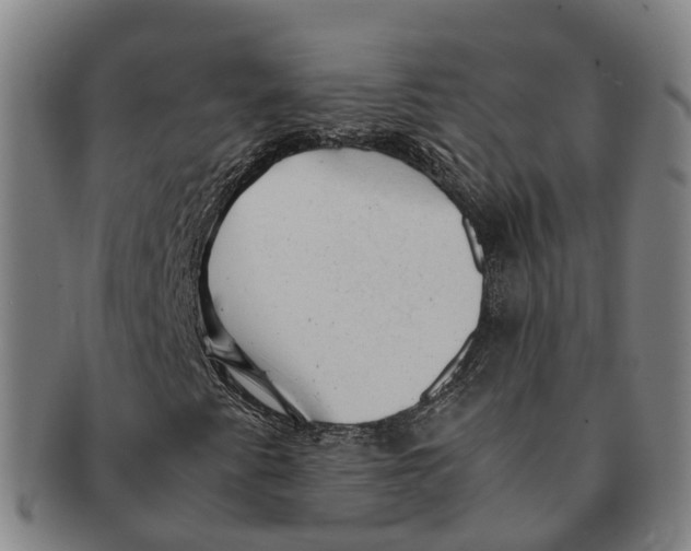 X0000091011345200708301348