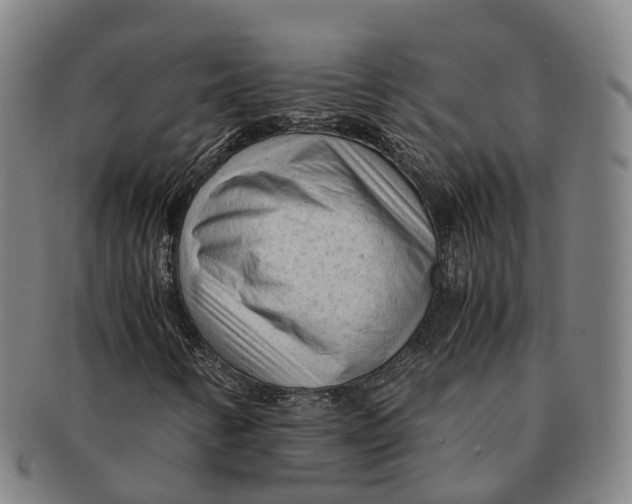 X0000091011346200708301348