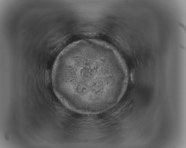 X0000091011347200708301348