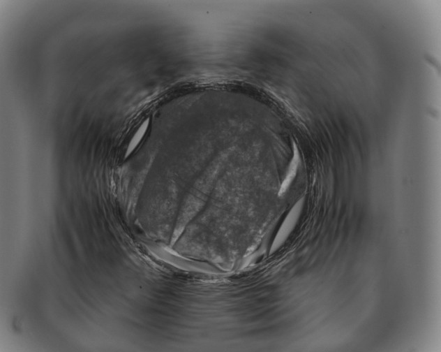 X0000091011348200708301348