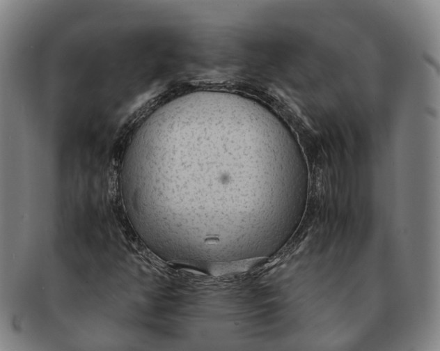 X0000091011350200708301348