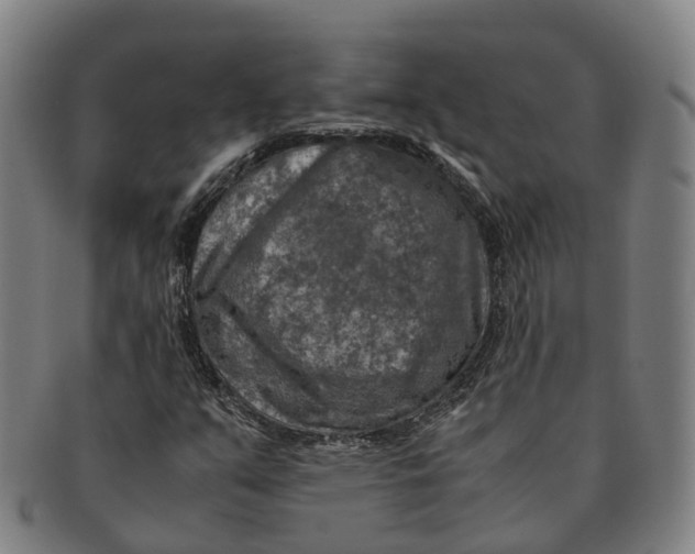 X0000091011351200708301347