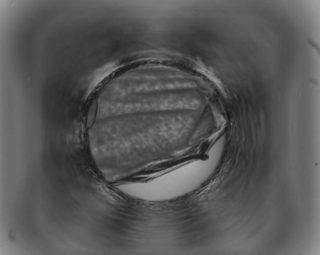 X0000091011352200708301347