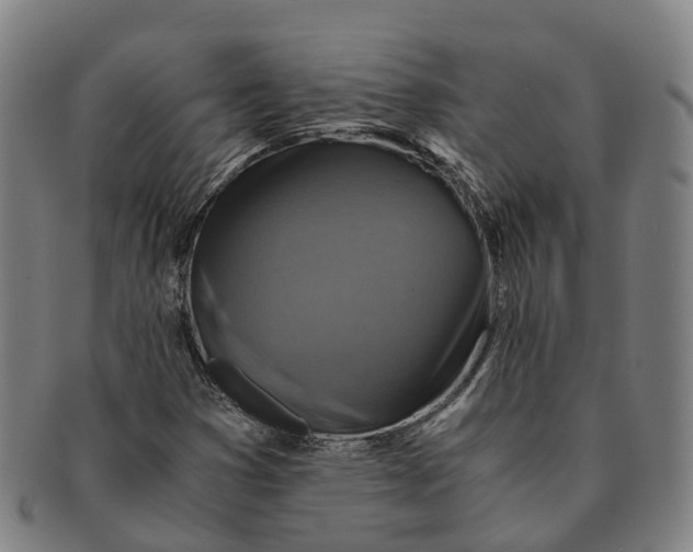 X0000091011353200708301347