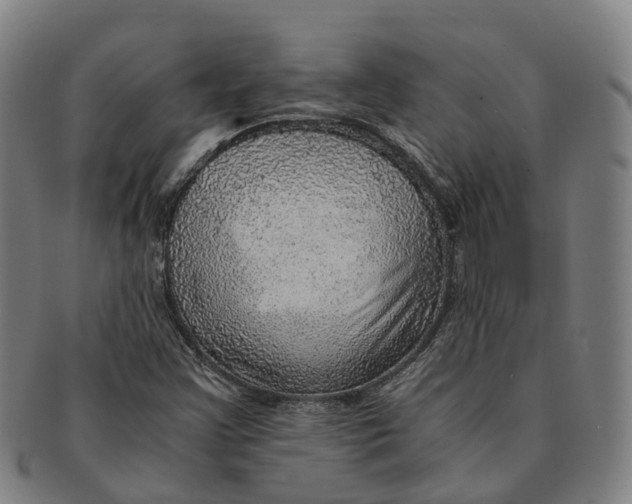 X0000091011355200708301347