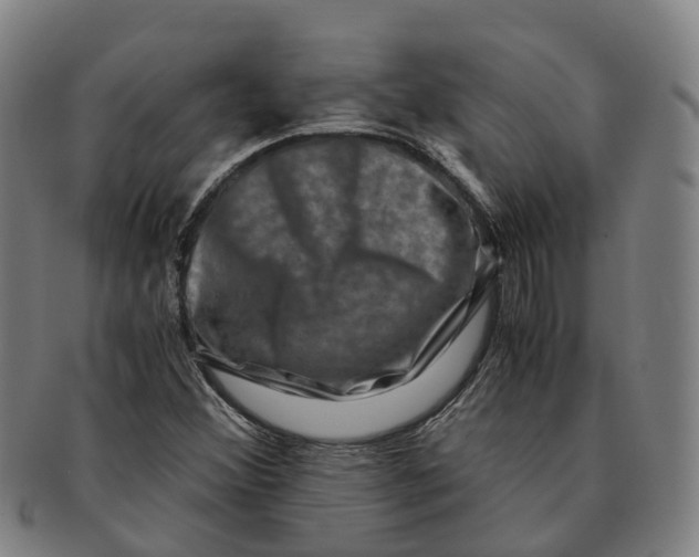 X0000091011356200708301347