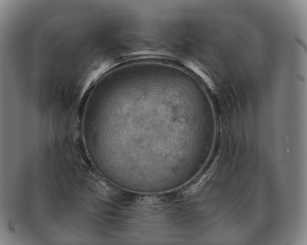 X0000091011357200708301347