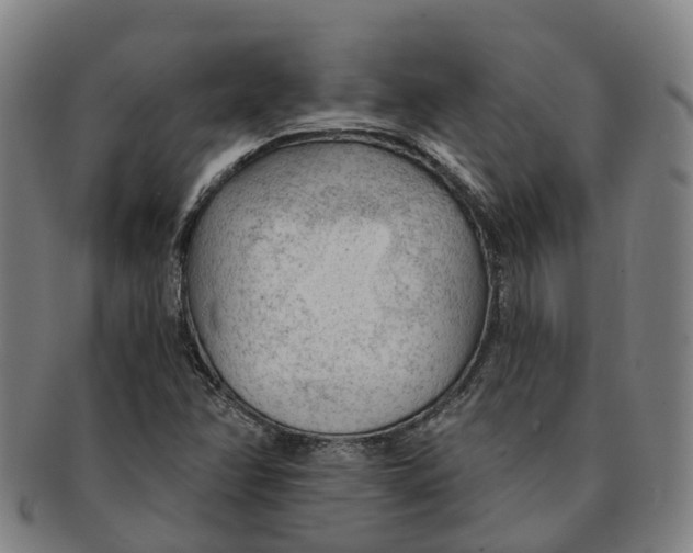 X0000091011358200708301347