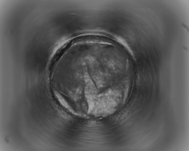 X0000091011360200708301347