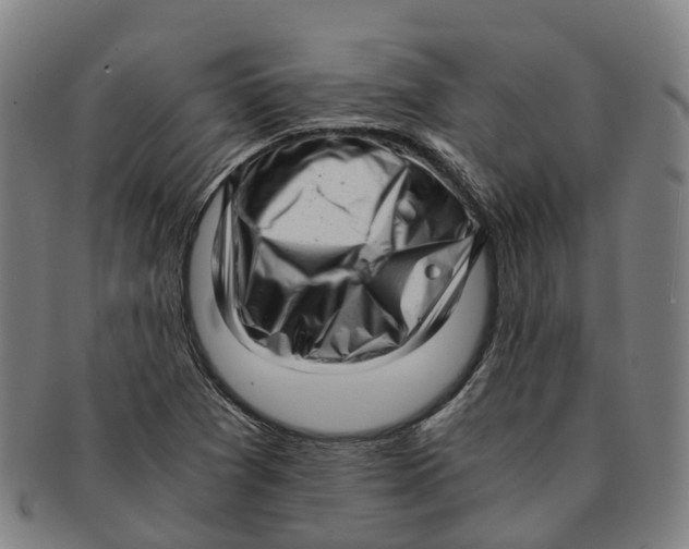 X0000091011361200708301347