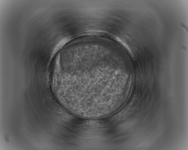 X0000091011362200708301347