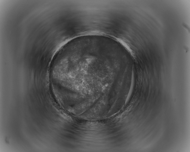 X0000091011364200708301347