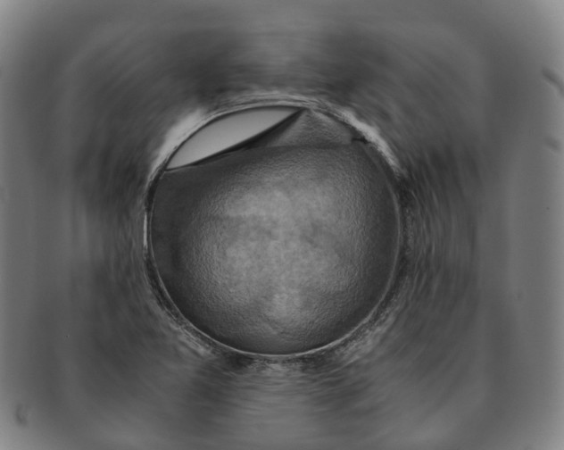 X0000091011365200708301347