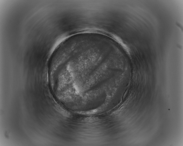 X0000091011368200708301347