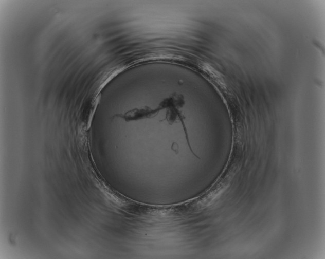 X0000091011369200708301347