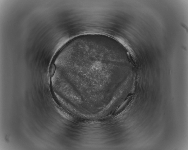 X0000091011372200708301347