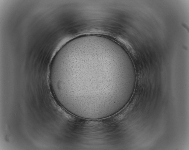 X0000091011374200708301347