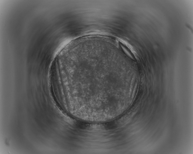 X0000091011375200708301347