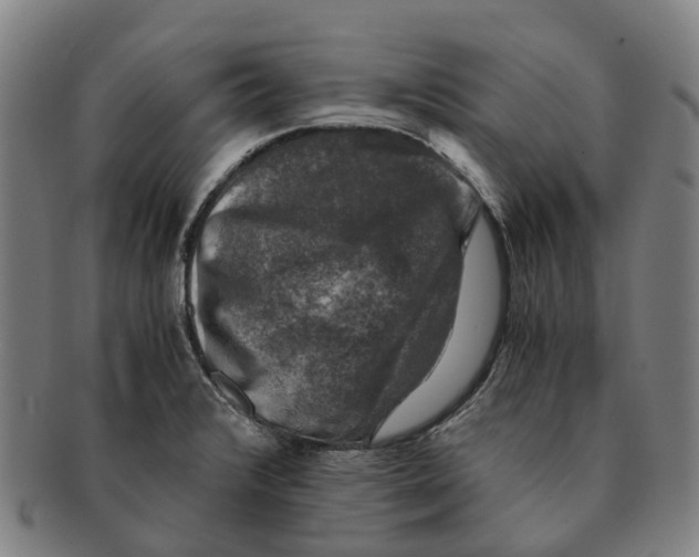 X0000091011376200708301347