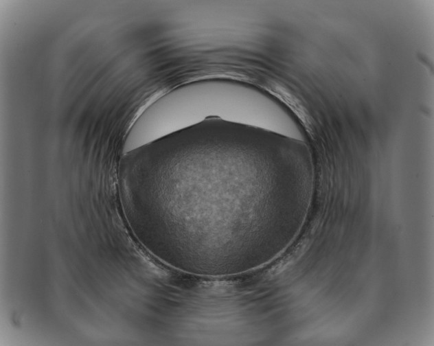 X0000091011377200708301347