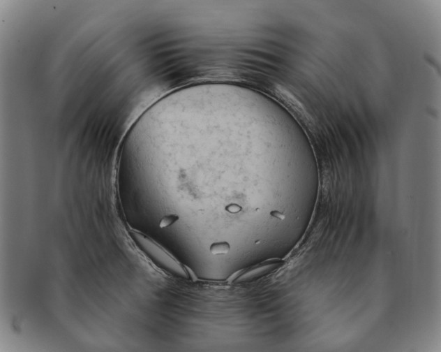 X0000091011378200708301347