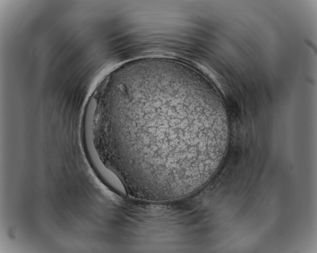 X0000091011379200708301347