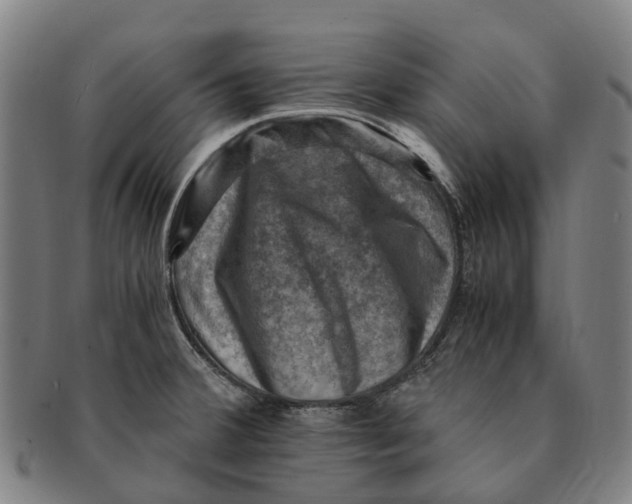 X0000091011380200708301347