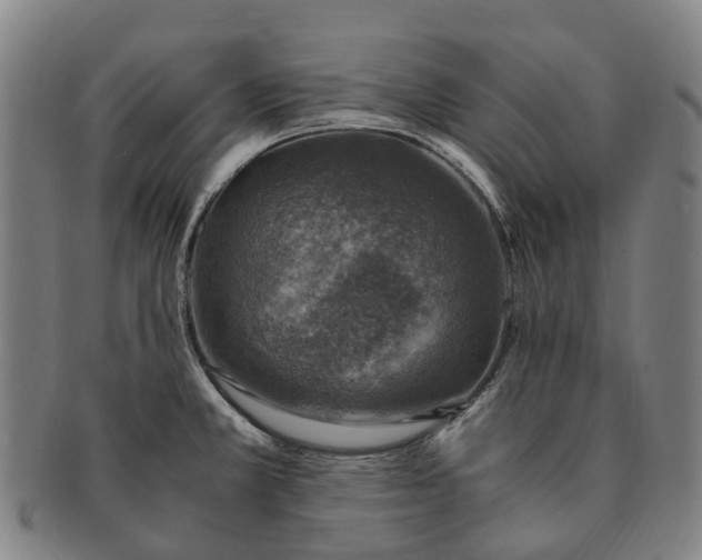 X0000091011381200708301347