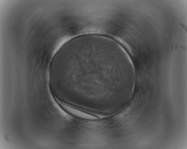 X0000091011383200708301347