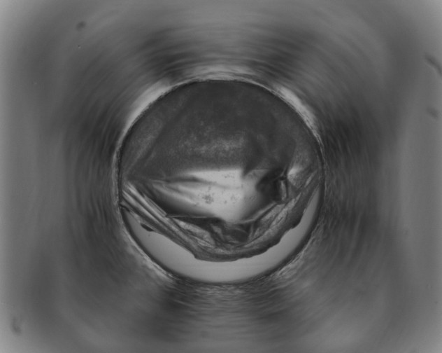 X0000091011384200708301347