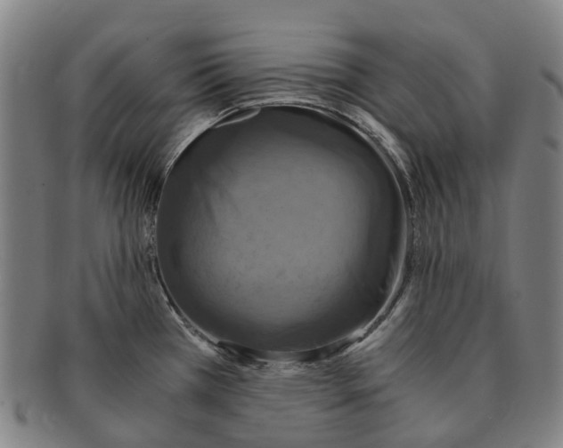 X0000091011385200708301347