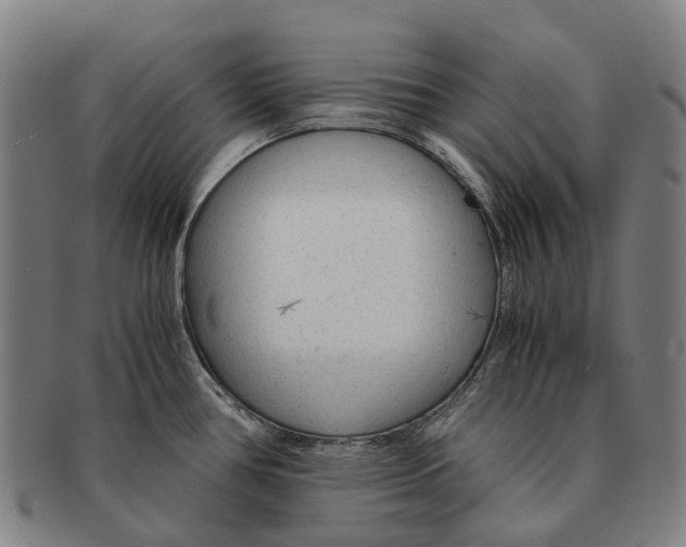 X0000091011386200708301347