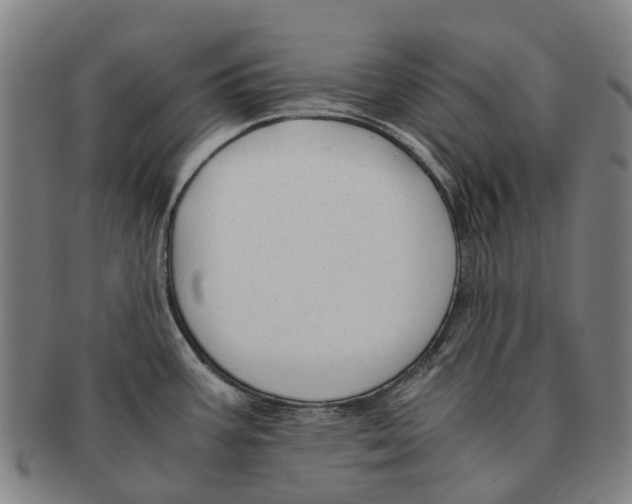 X0000091011387200708301347