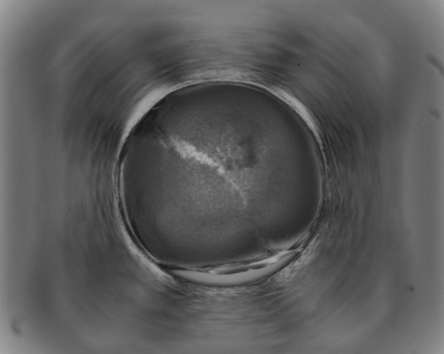 X0000091011389200708301347