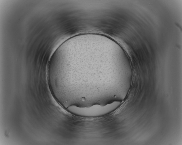 X0000091011390200708301347