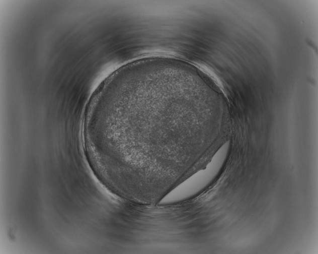 X0000091011391200708301347