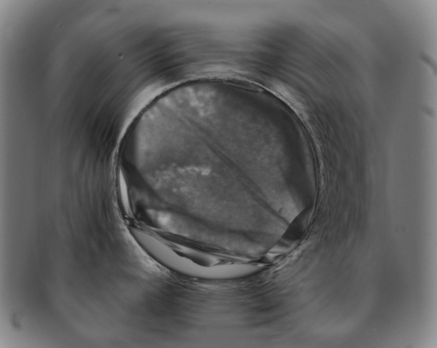 X0000091011392200708301347