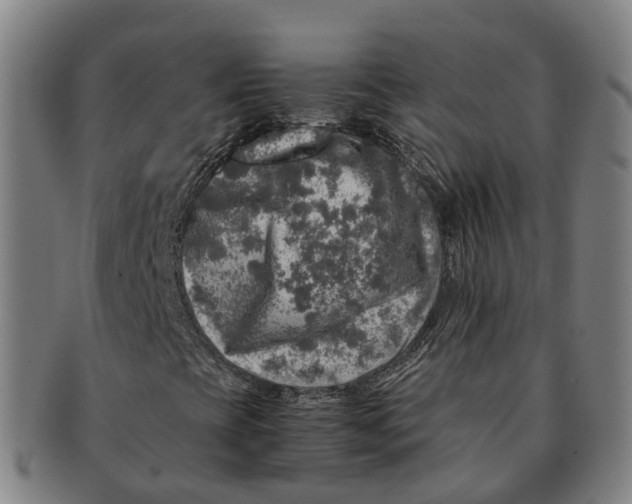 X0000091011393200708301346