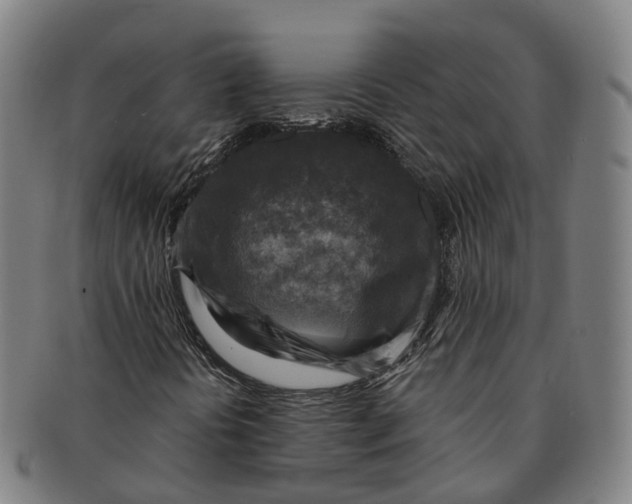 X0000091011394200708301346